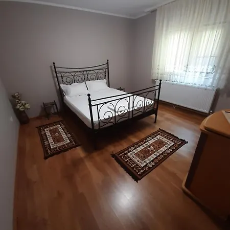 ホームステイ Casa Georgeta *