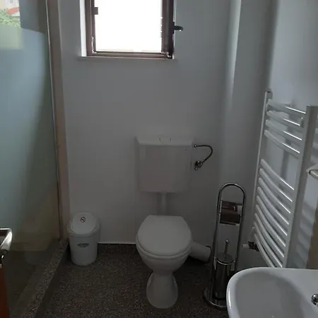 ホームステイ Casa Georgeta